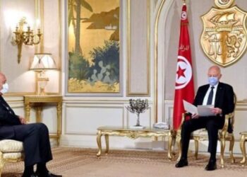 سامح شكري يسلم قيس سعيد رسالة جديدة من السيسي